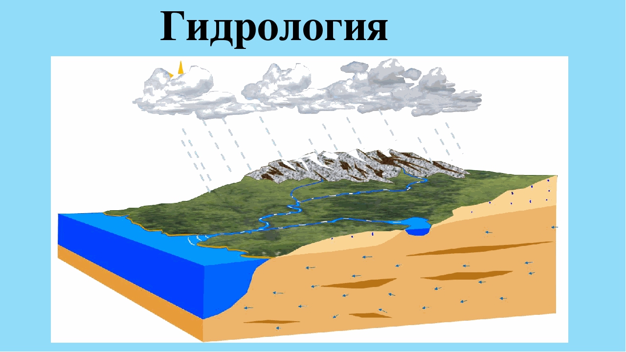 Гидрология беларуси. Поверхностные и подземные воды. Поверхностные и грунтовые воды. Циркуляция подземных вод.